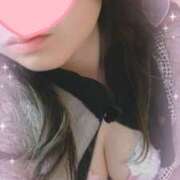 ヒメ日記 2025/11/13 11:46 投稿 ライラック 飾窓