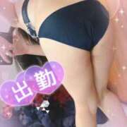 ヒメ日記 2025/12/09 11:53 投稿 ライラック 飾窓