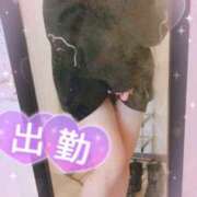 ヒメ日記 2026/01/09 10:07 投稿 ライラック 飾窓