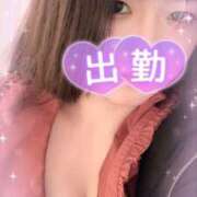 ライラック 復活❗️ 飾窓