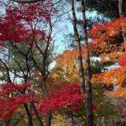 しおん 🌙* :ﾟ リッチドールフェミニン