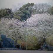 ヒメ日記 2026/01/11 11:18 投稿 色香美沙 五十路マダムエクスプレス横浜店（カサブランカグループ）