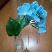 ヒメ日記 2026/01/12 02:22 投稿 色香美沙 五十路マダムエクスプレス横浜店（カサブランカグループ）