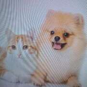 ヒメ日記 2026/01/17 21:24 投稿 色香美沙 五十路マダムエクスプレス横浜店（カサブランカグループ）