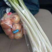 ヒメ日記 2026/01/20 10:32 投稿 色香美沙 五十路マダムエクスプレス横浜店（カサブランカグループ）