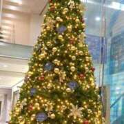 ヒメ日記 2025/11/19 13:33 投稿 あずみ 千葉人妻花壇