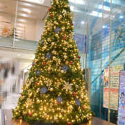 ヒメ日記 2025/11/19 13:41 投稿 反町【そりまち】 人妻最後の砦 千葉店