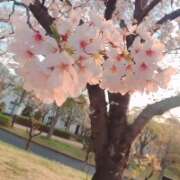 ヒメ日記 2026/04/06 10:25 投稿 反町【そりまち】 人妻最後の砦 千葉店