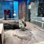 ヒメ日記 2025/09/08 19:01 投稿 さおり イキなり生彼女from大宮