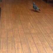 ヒメ日記 2025/09/29 23:20 投稿 さおり イキなり生彼女from大宮