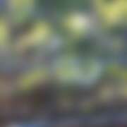 ヒメ日記 2026/03/27 10:50 投稿 靖子（やすこ） 東金人妻花壇