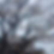 ヒメ日記 2026/03/31 19:07 投稿 靖子（やすこ） 東金人妻花壇