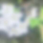 ヒメ日記 2026/04/07 02:07 投稿 靖子（やすこ） 東金人妻花壇