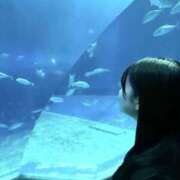 ヒメ日記 2026/01/16 17:02 投稿 るる スピードエコ難波店