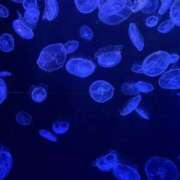 ヒメ日記 2026/02/16 10:12 投稿 るる スピードエコ難波店