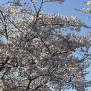 るる るる（エコ難波店） スピードエコ難波店