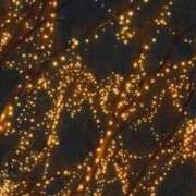 瑠華（るか） ❣️出勤❣️ NOA（ノア）