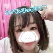 ヒメ日記 2025/10/12 07:00 投稿 さら 池袋ぱんぷきん（シンデレラグループ）