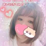 ヒメ日記 2025/11/15 18:12 投稿 さら 池袋ぱんぷきん（シンデレラグループ）