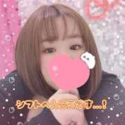 ヒメ日記 2025/11/29 19:47 投稿 さら 池袋ぱんぷきん（シンデレラグループ）