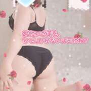 ヒメ日記 2025/12/15 18:30 投稿 さら 池袋ぱんぷきん（シンデレラグループ）