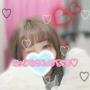 ヒメ日記 2025/12/24 08:06 投稿 さら 池袋ぱんぷきん（シンデレラグループ）