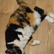 ヒメ日記 2026/04/06 02:03 投稿 あかり 性の極み 技の伝道師 Ver.新横浜店