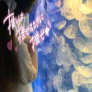 ヒメ日記 2025/09/12 18:47 投稿 きら 人妻小旅行