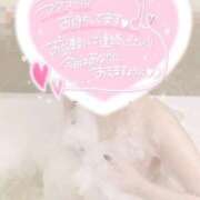 ヒメ日記 2025/10/19 12:08 投稿 きら 人妻小旅行