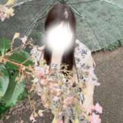 ヒメ日記 2025/10/17 20:13 投稿 ミナミ 千葉美女革命