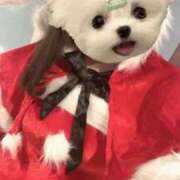 ミナミ 12月もね🎶 千葉美女革命