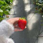 ヒメ日記 2025/11/04 23:31 投稿 月島このみ ABC 岩手ソープ