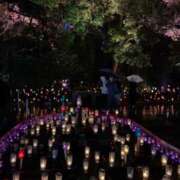 ヒメ日記 2025/11/08 00:01 投稿 月島このみ ABC 岩手ソープ