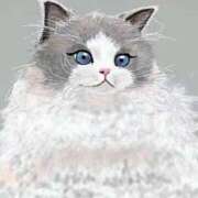 ヒメ日記 2025/12/09 15:01 投稿 月島このみ ABC 岩手ソープ