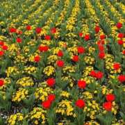 ヒメ日記 2025/12/10 23:46 投稿 月島このみ ABC 岩手ソープ