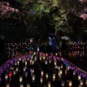 ヒメ日記 2025/12/14 23:31 投稿 月島このみ ABC 岩手ソープ