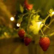 ヒメ日記 2025/12/18 20:46 投稿 月島このみ ABC 岩手ソープ