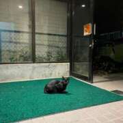 ヒメ日記 2026/01/09 16:46 投稿 月島このみ ABC 岩手ソープ