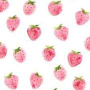 ヒメ日記 2026/02/06 13:16 投稿 月島このみ ABC 岩手ソープ