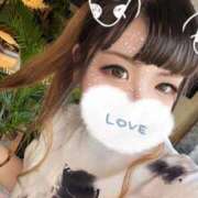 ヒメ日記 2025/09/15 11:54 投稿 海依（みい） ビッグバード