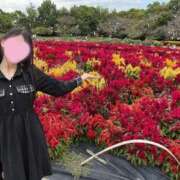 ヒメ日記 2025/10/12 09:24 投稿 莉愛/Ria レジーナ