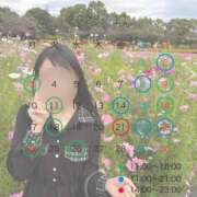 ヒメ日記 2025/10/23 02:32 投稿 莉愛/Ria レジーナ