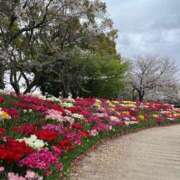 ヒメ日記 2026/04/11 13:24 投稿 莉愛/Ria レジーナ