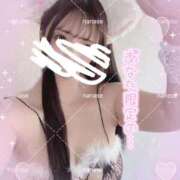 ヒメ日記 2026/03/09 07:48 投稿 ななせ 千葉北インターちゃんこ