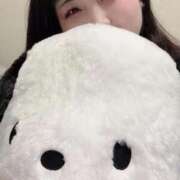 ヒメ日記 2025/11/27 00:37 投稿 ののか♡Hの衝撃ガチエロボディ♡ 即生専門店ゴッドパイ