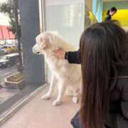 ヒメ日記 2026/01/23 23:04 投稿 ののか♡Hの衝撃ガチエロボディ♡ 即生専門店ゴッドパイ