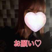 ヒメ日記 2025/11/09 07:31 投稿 一ノ瀬りな ミセスレディ