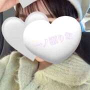 ヒメ日記 2026/02/14 12:16 投稿 一ノ瀬りな ミセスレディ