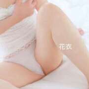 ヒメ日記 2025/11/26 11:51 投稿 花衣(はない) 熟女出逢い会 『百合の園』 五反田店