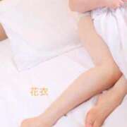 ヒメ日記 2026/01/29 11:51 投稿 花衣(はない) 熟女出逢い会 『百合の園』 五反田店